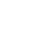 fsi